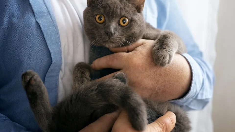 Фото: freepik.com