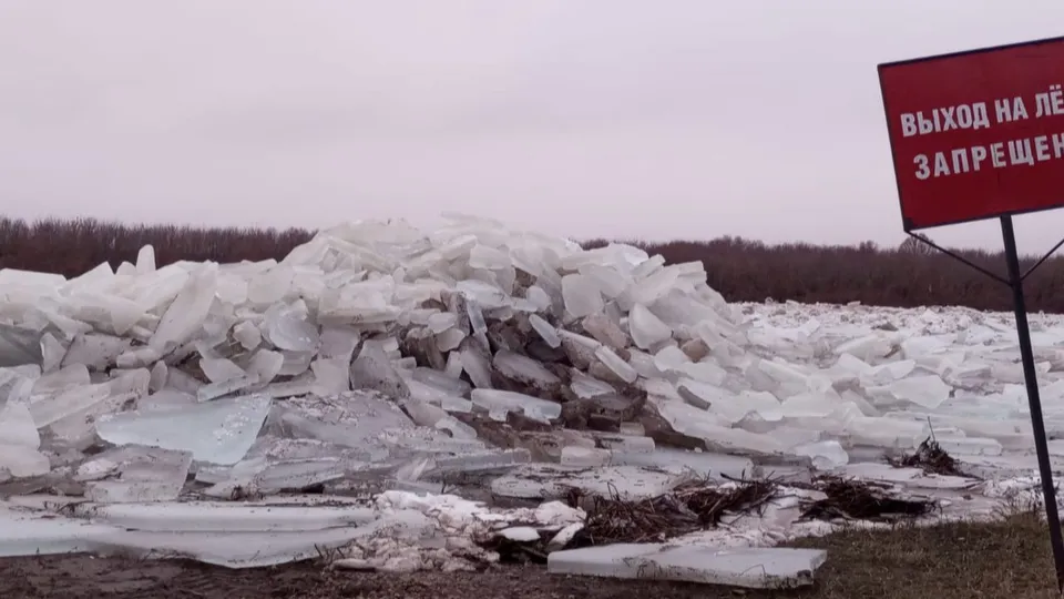 Фото: пресс-служба администрации г. о. Кашира