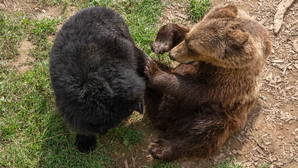 Фото: медиасток.рф