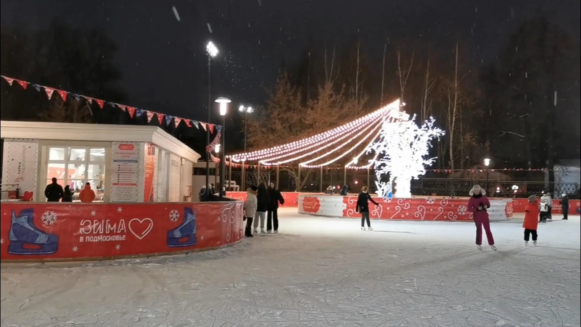 Добрынина Галина