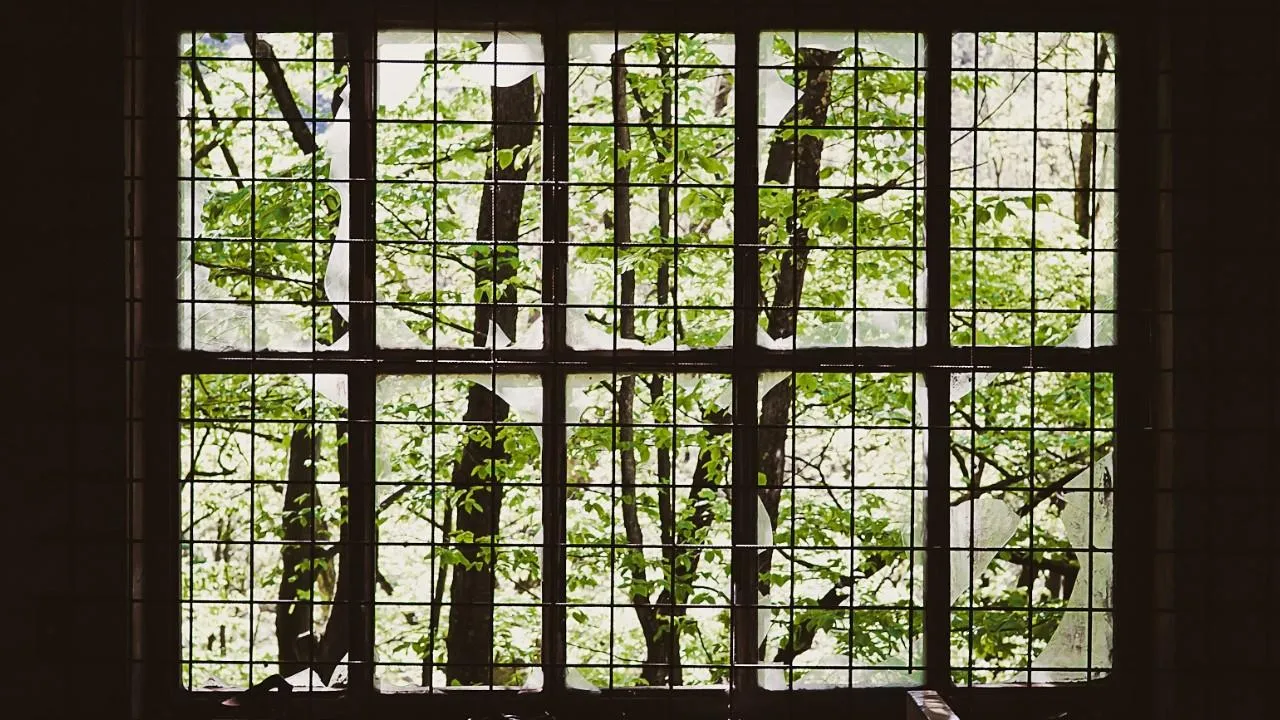 Российские военные освободили Межевое в ДНР