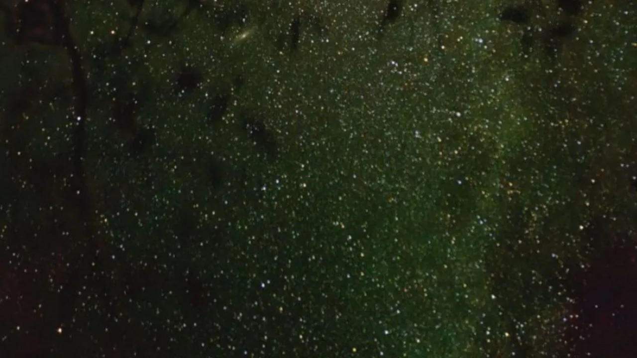 Фото: REGIONS/Наталья Широкая