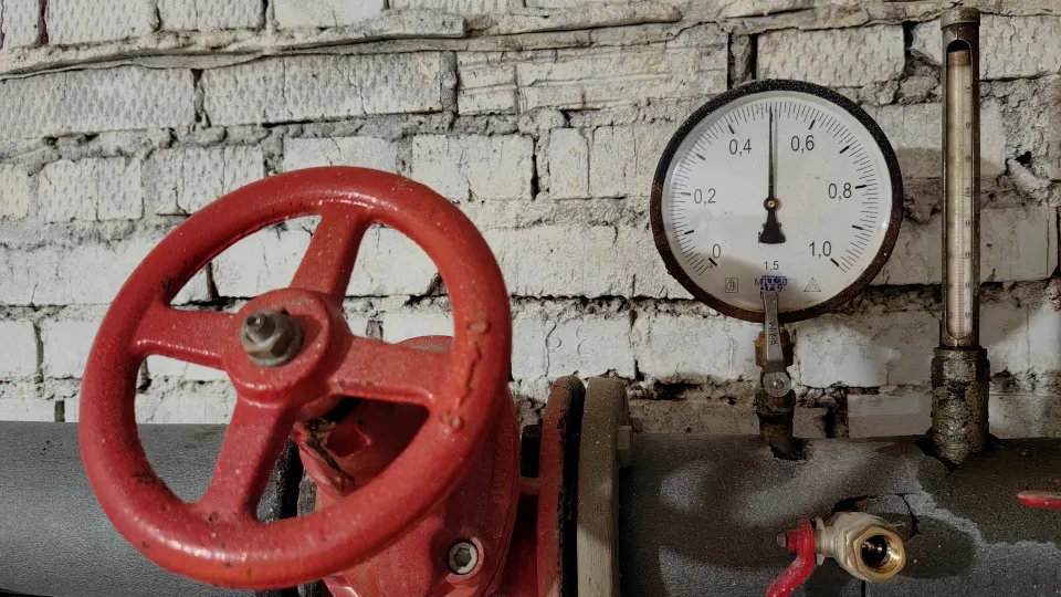 Фото: МедиаБанк Подмосковья/Елена Катасонова