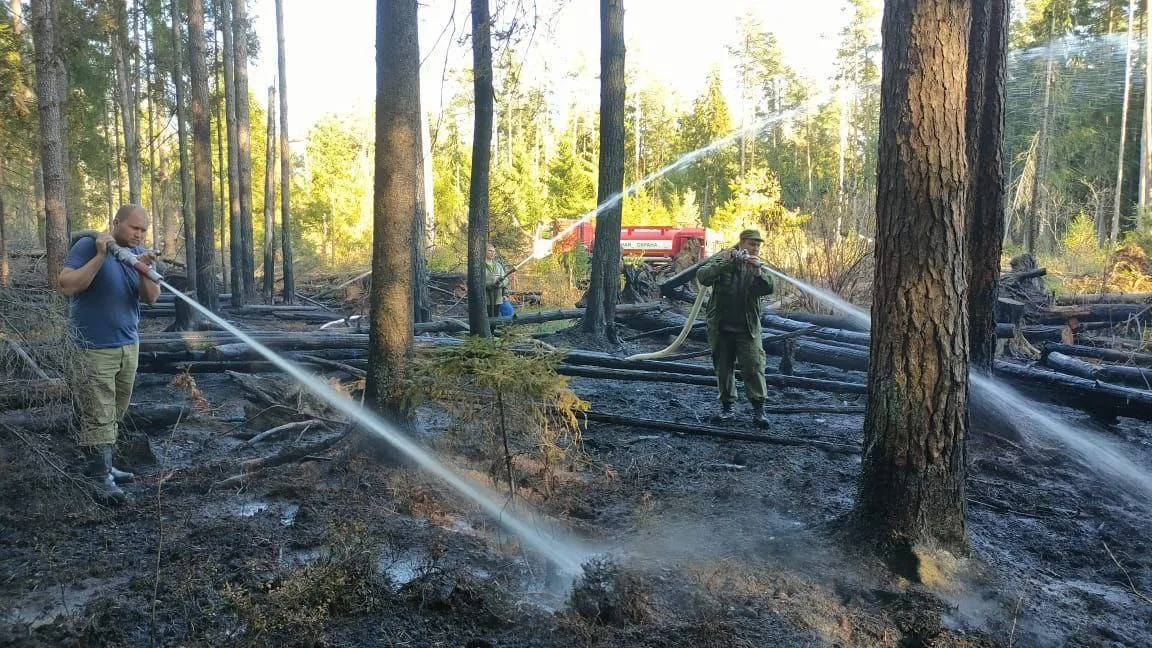 Комитет лесного хозяйства Московской области