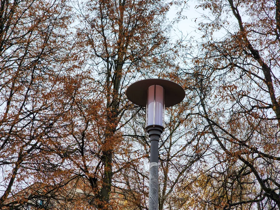 Фото: МедиаБанк Подмосковья/Мария Андрюхина