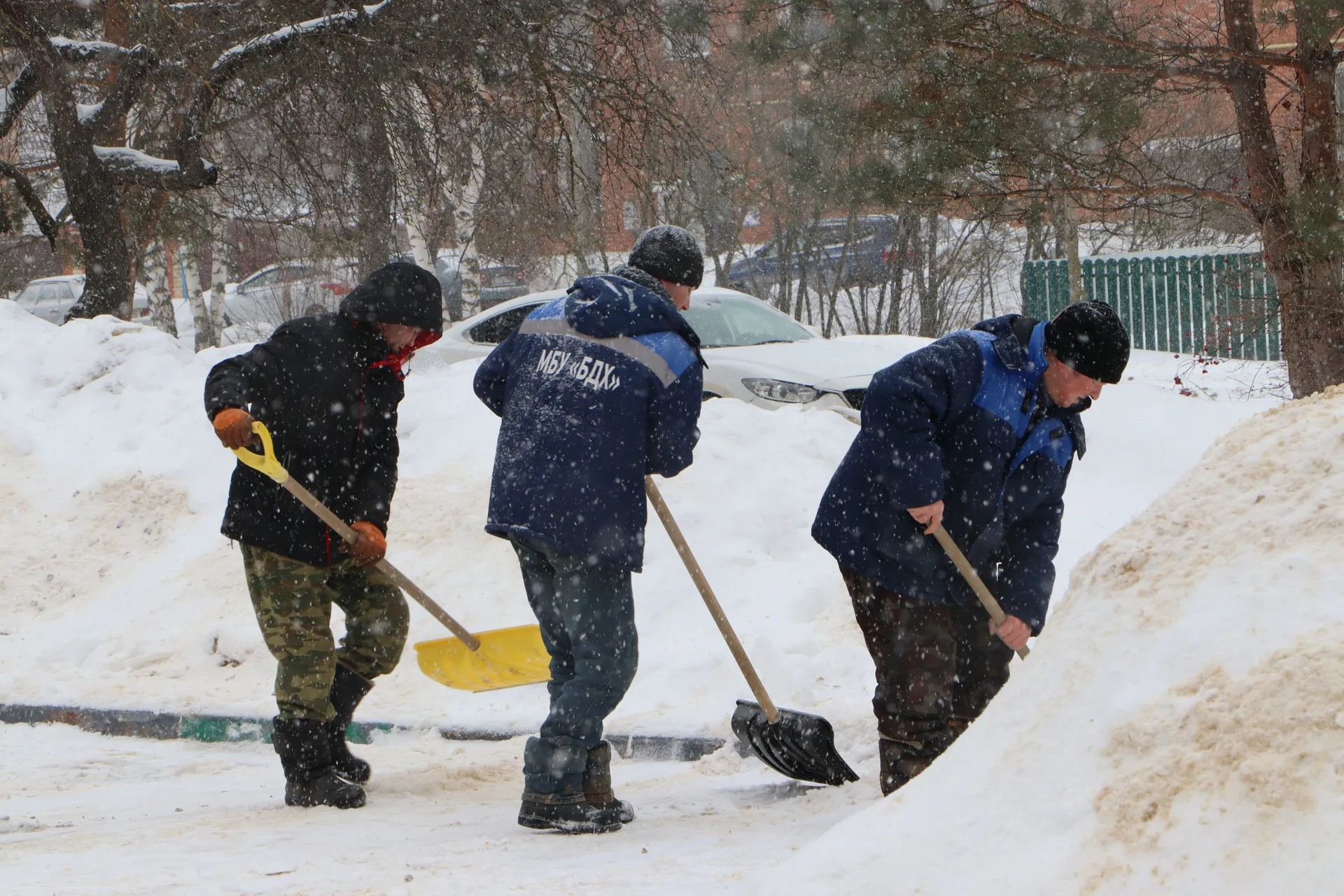 Ирина Матвеева