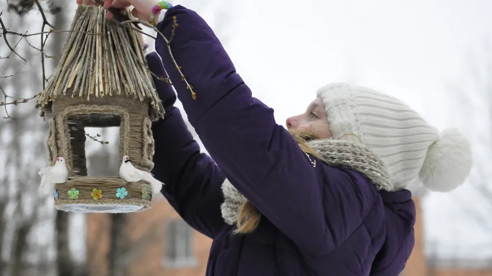 Фото: медиасток.рф