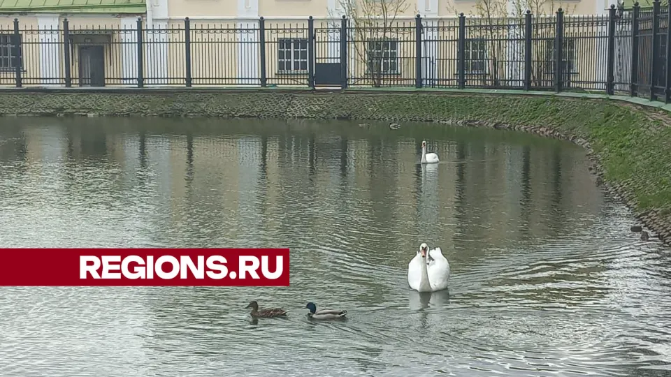 Фото: Светлана Синицына