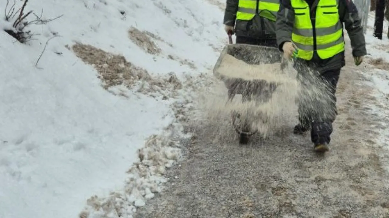 МедиаБанк Подмосковья/Наталья Лымарь