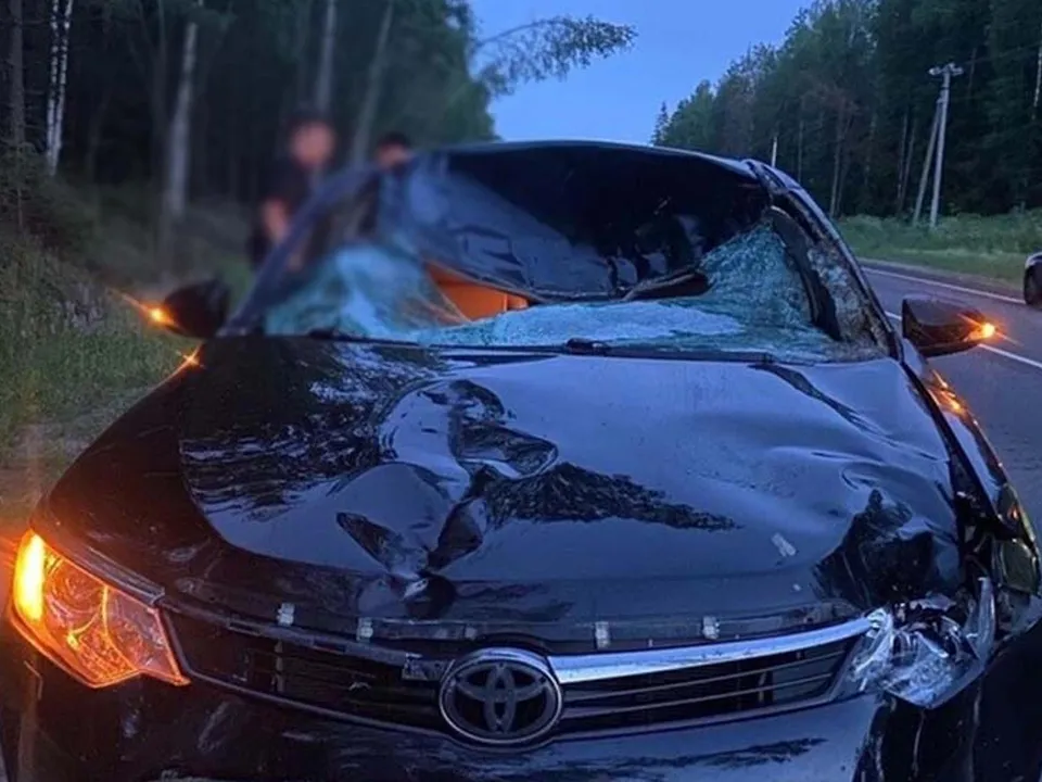 Фото: vk.com/Шатура Подслушано у водителей&nbsp;