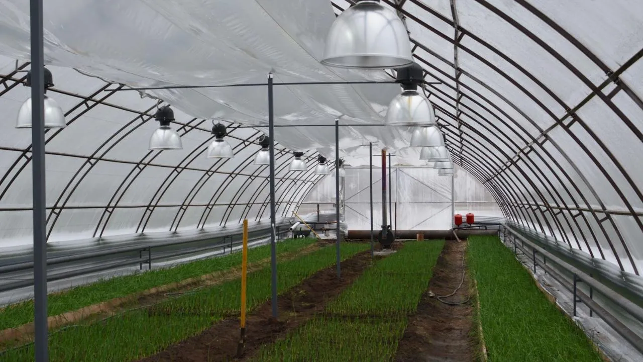 медиасток.рф