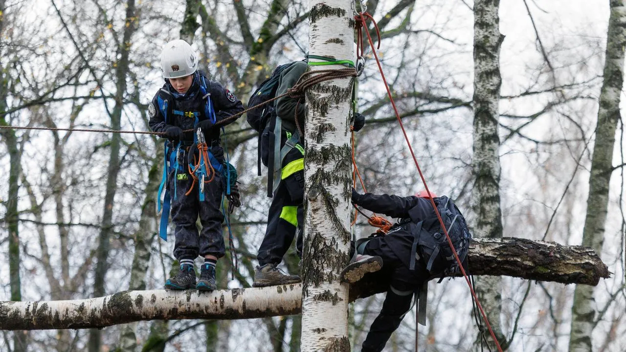 медиасток.рф
