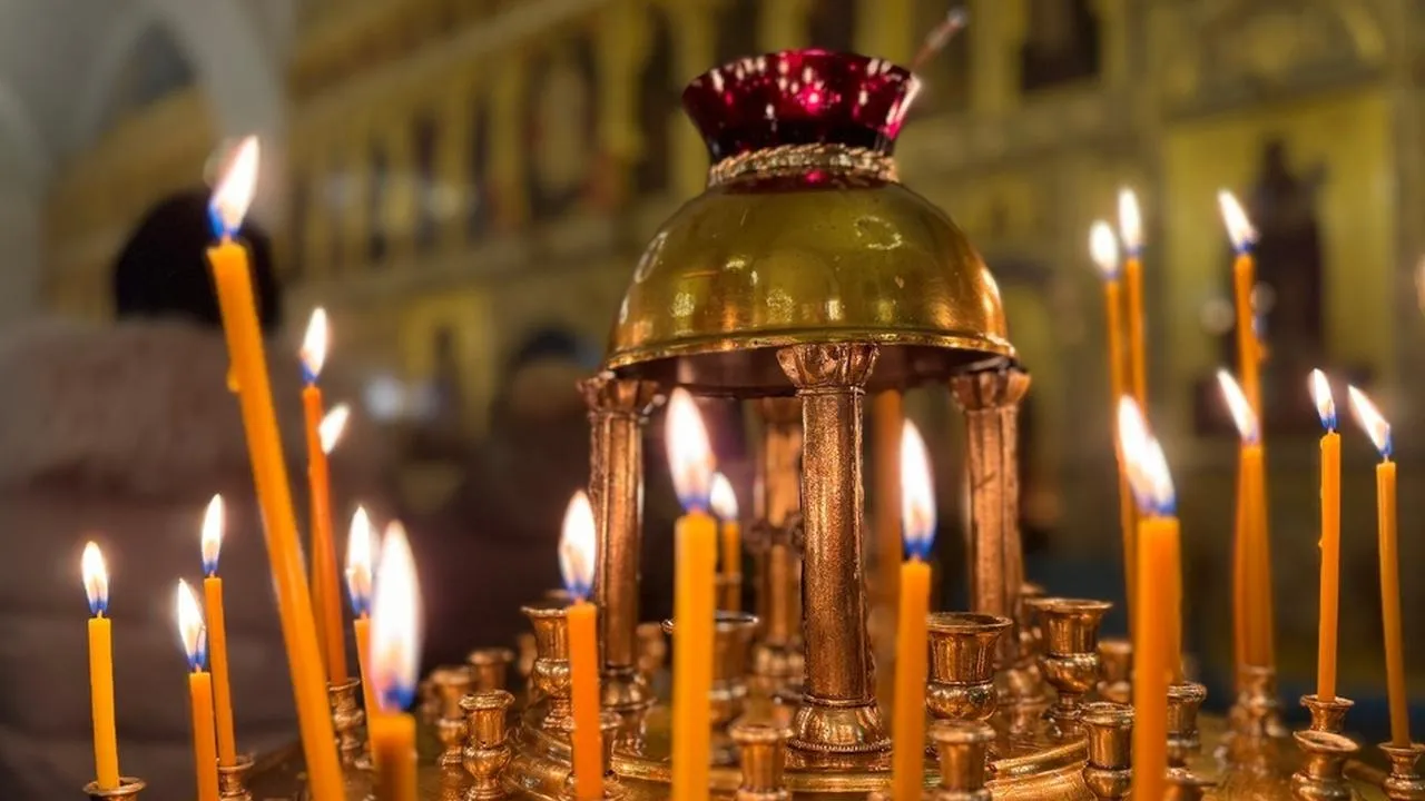 МедиаБанк Подмосковья/Мария Шматкова