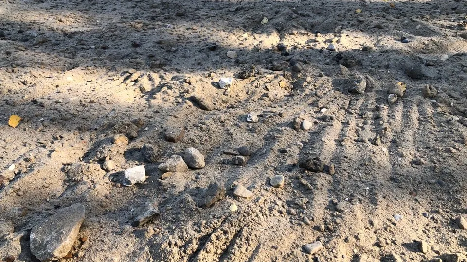 Фото: Надежда Чекалина