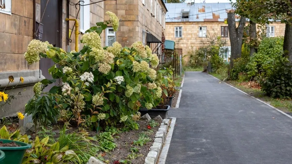 Фото: пресс-служба администрации Орехово-Зуевского городского округа