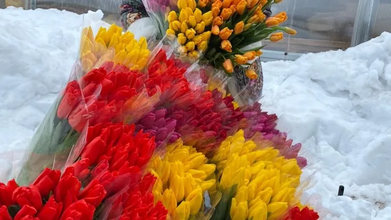 Фото: Алена Бабакина