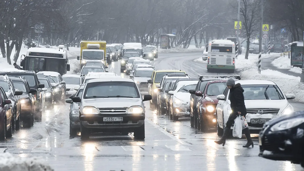 Фото: Медиаархив Подмосковья