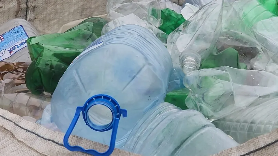 Фото: медиасток.рф / Марина Анисимова