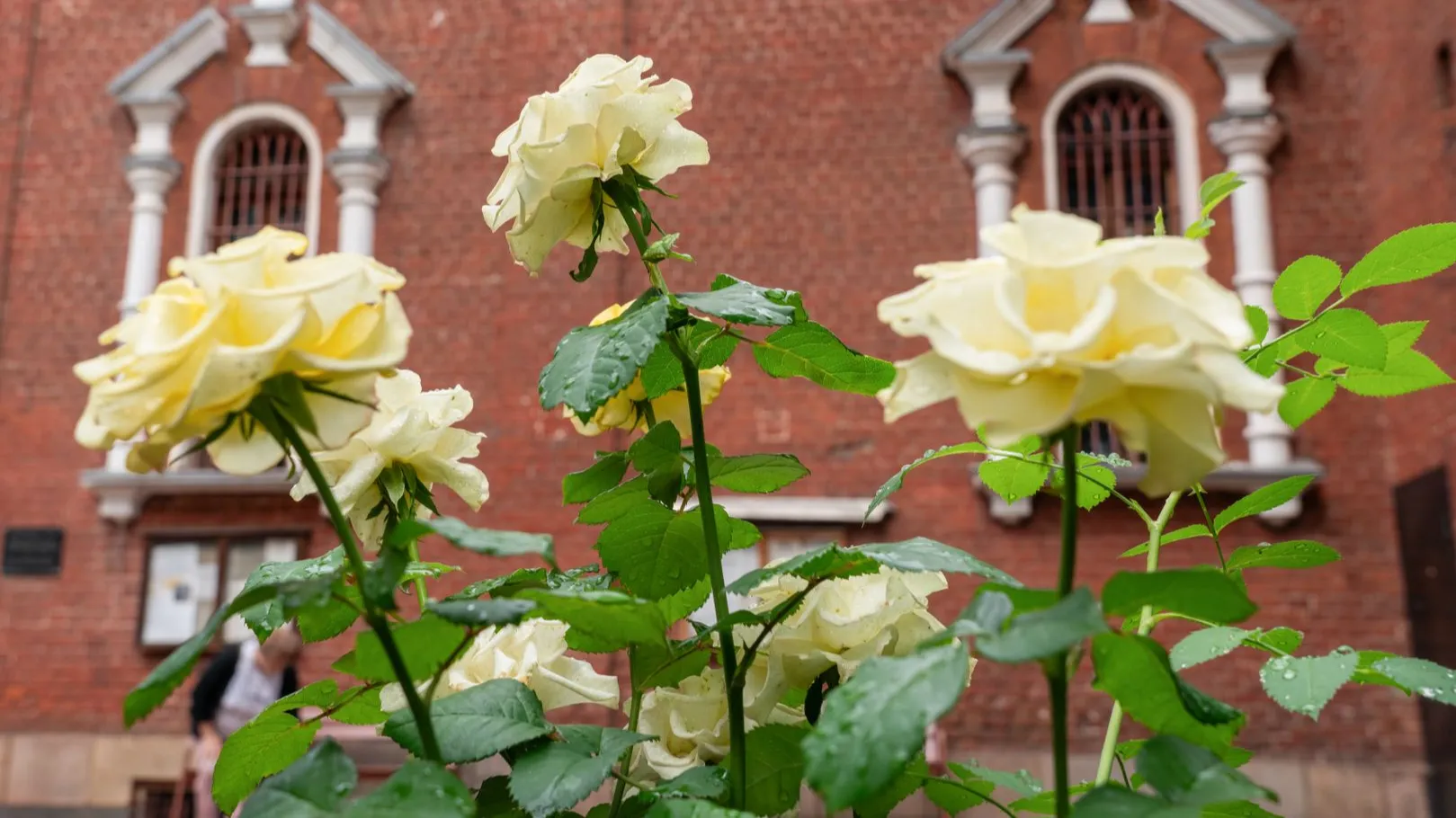 медиасток.рф