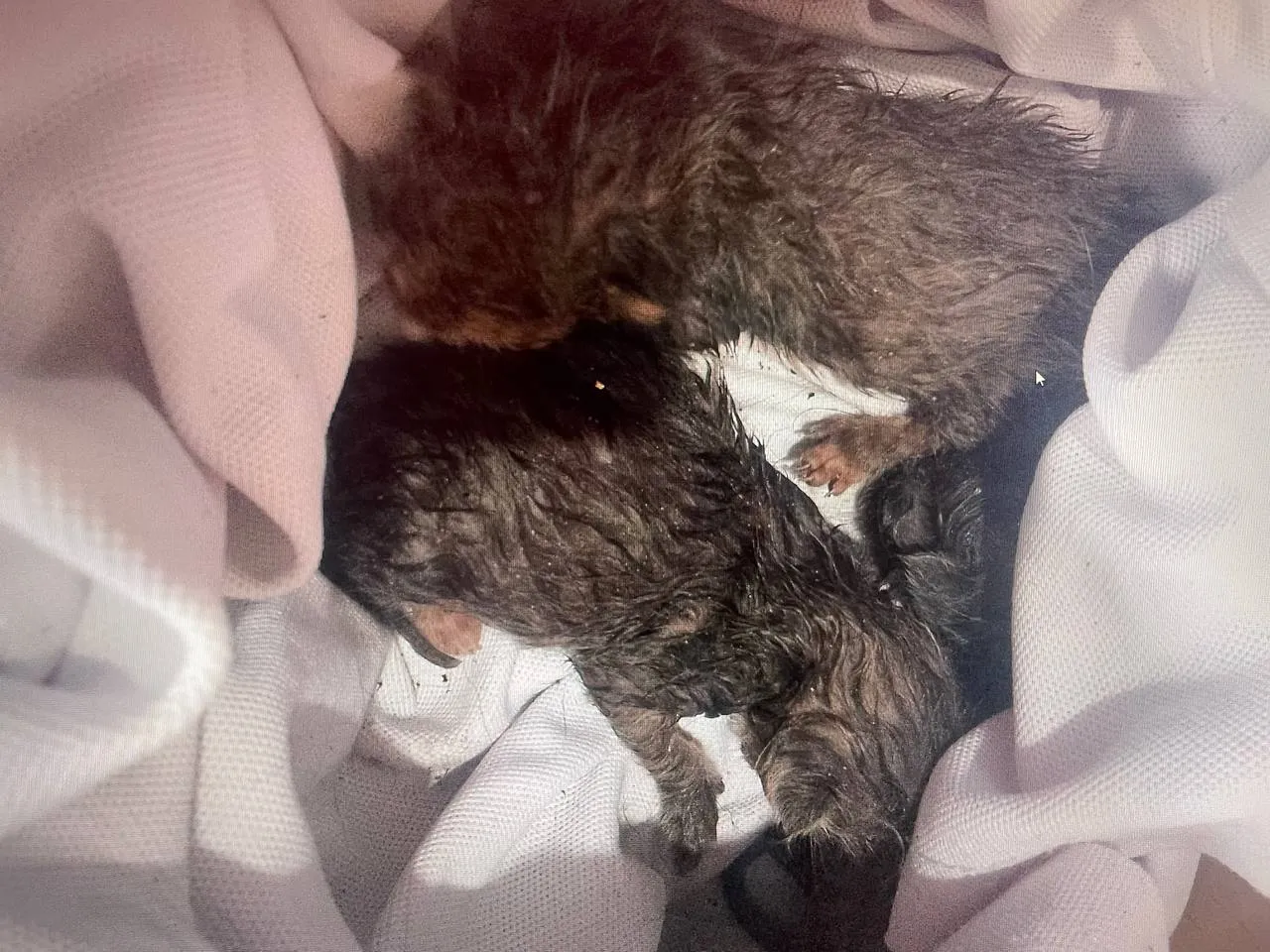 Фото: Екатерина Филиппова