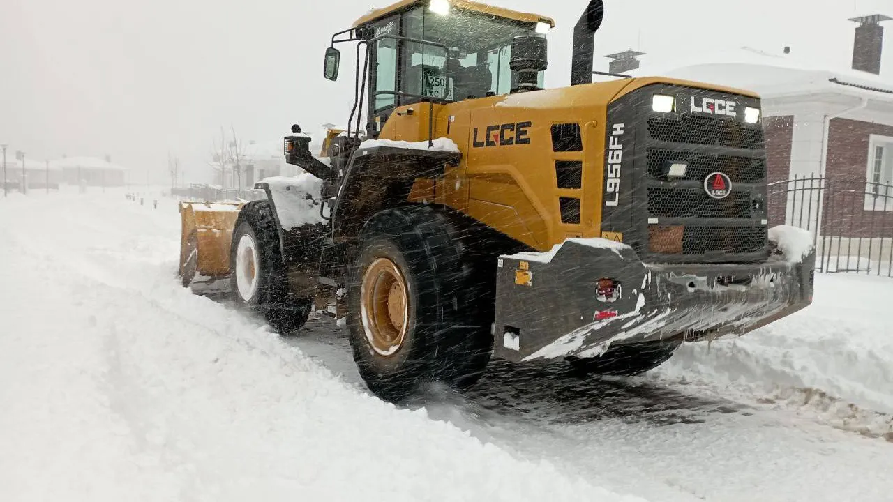 Фото: администрация Дмитровского муниципального округа