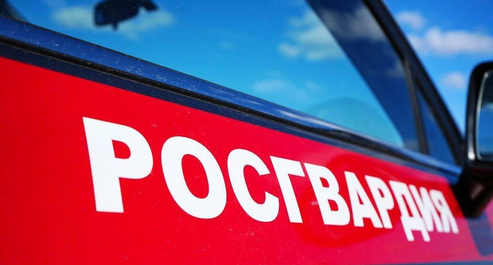 Росгвардейцы задержали рецидивиста, совершившего серию краж в Подмосковье