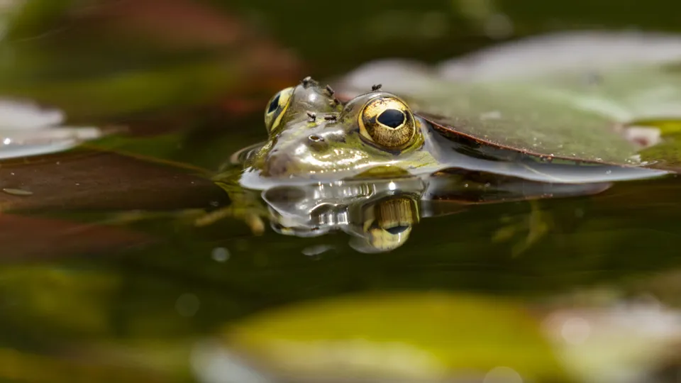 Фото: freepik.com