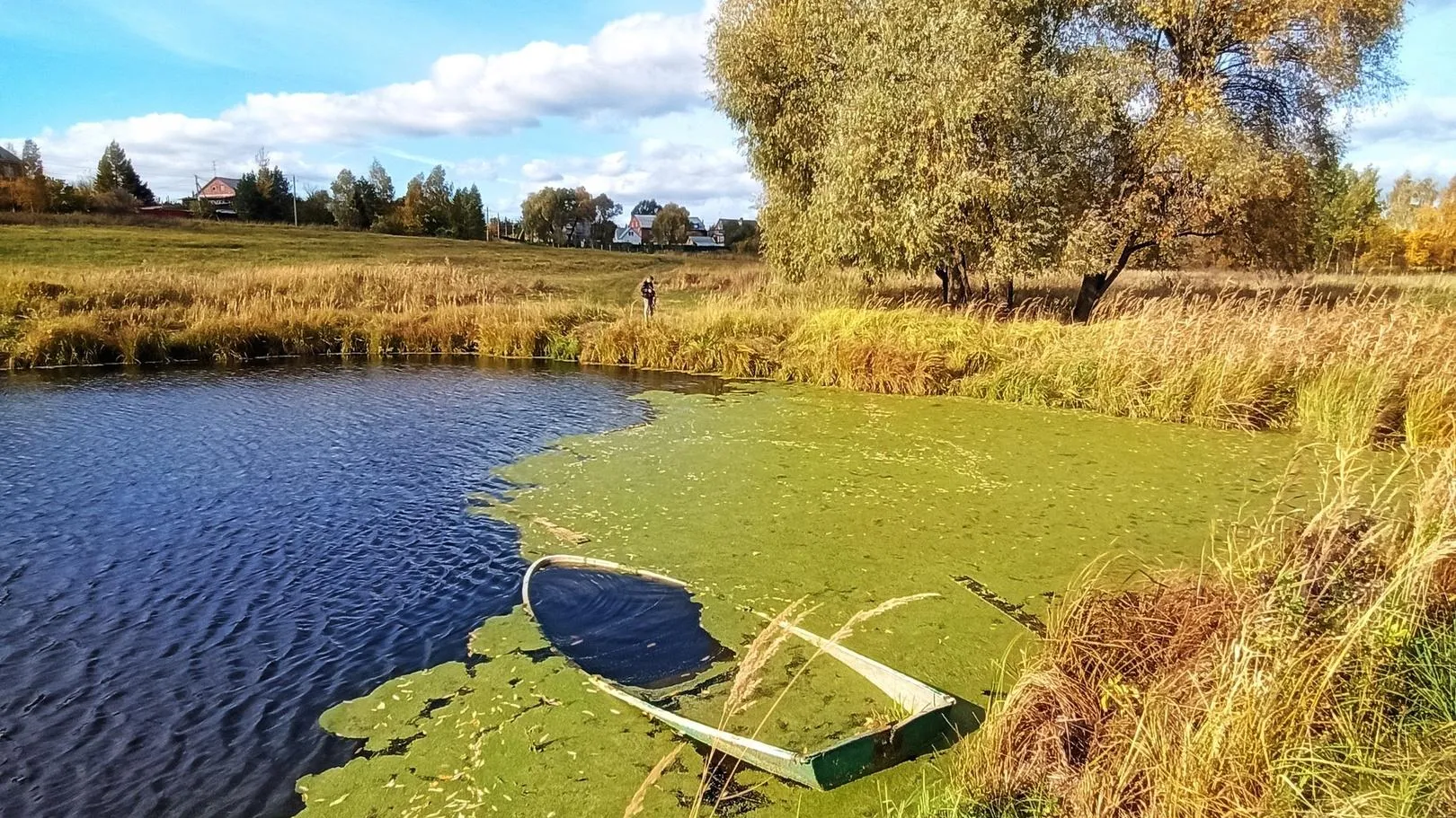 Фото: Ангелина Максимова