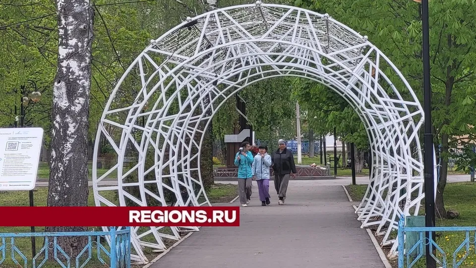 Фото: REGIONS/Александр Дрожжин