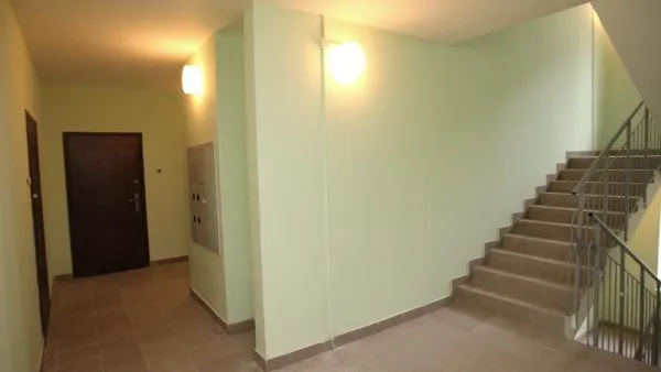 Конкурс на соципотеку в МО достиг 3,5 человека на место