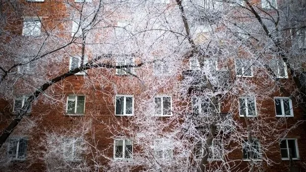 Синоптики: в Подмосковье ночные морозы окрепнут до –12 градусов