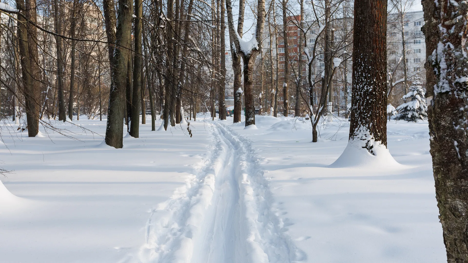 медиасток.рф