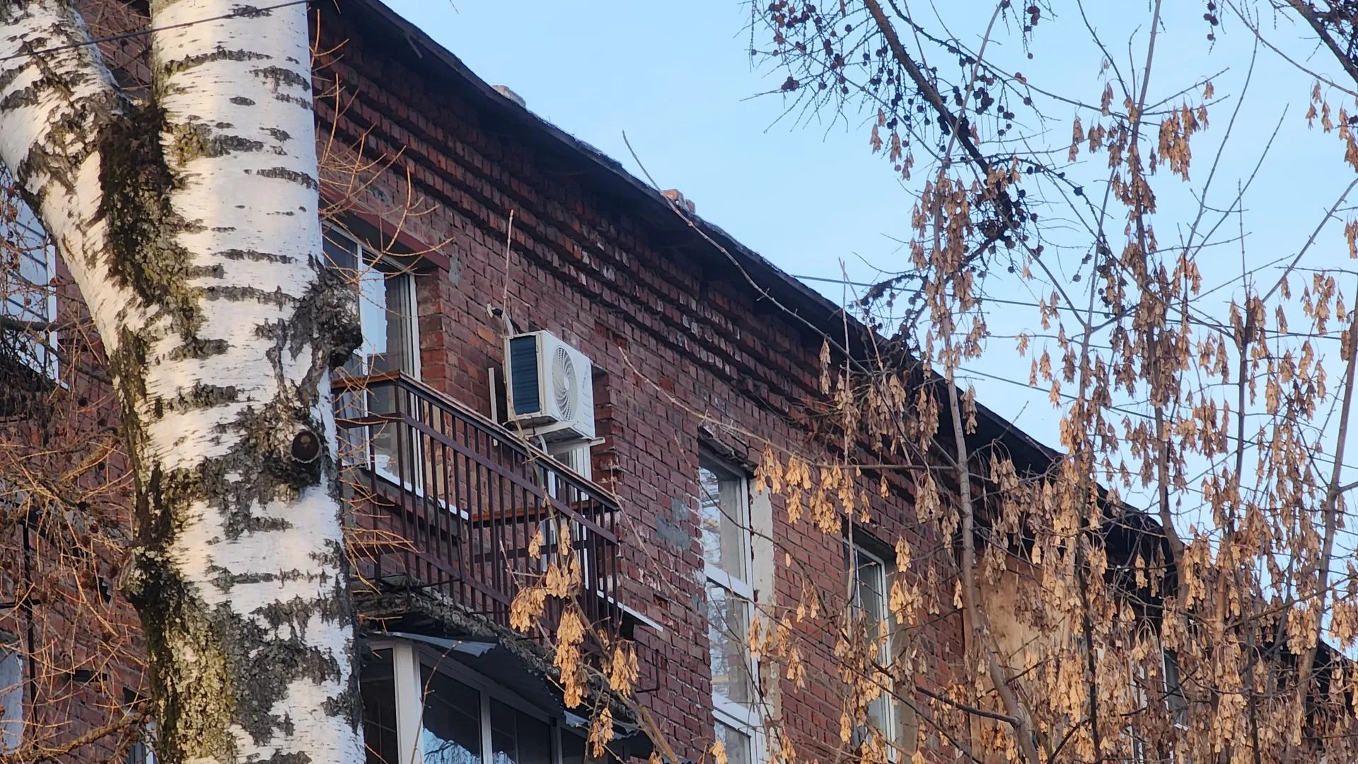 Алёна Притула