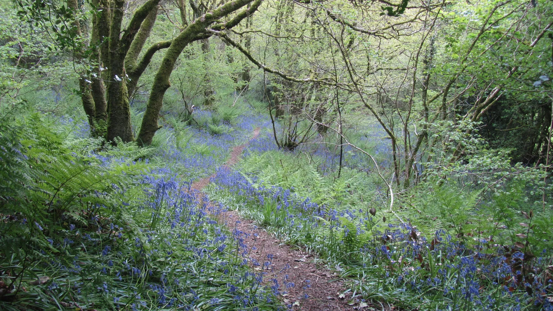 Фото: pxhere.com