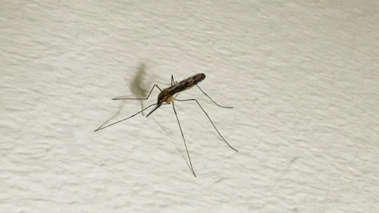 REGIONS/Илья Попов