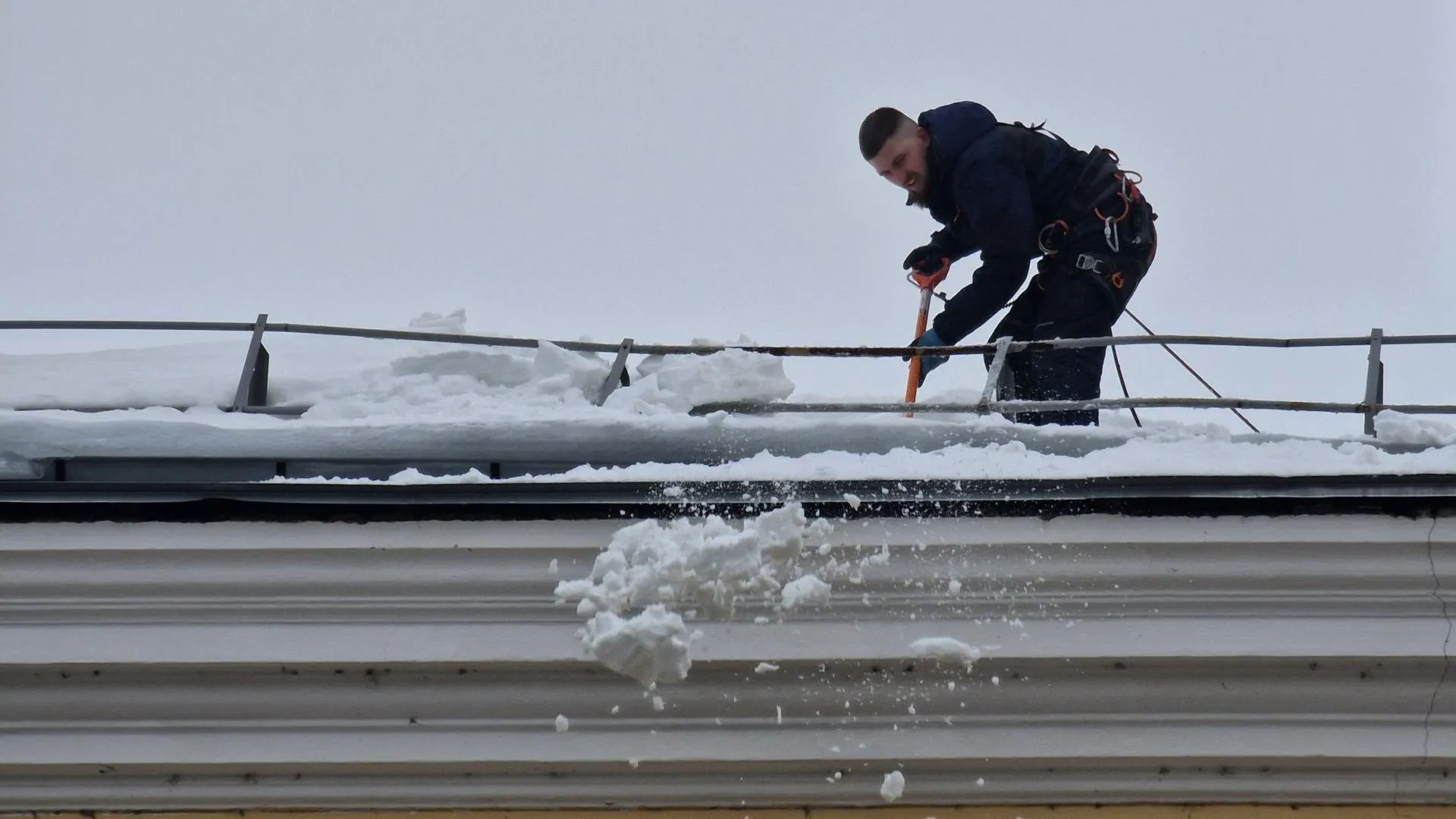 REGIONS/Ольга Шаронова