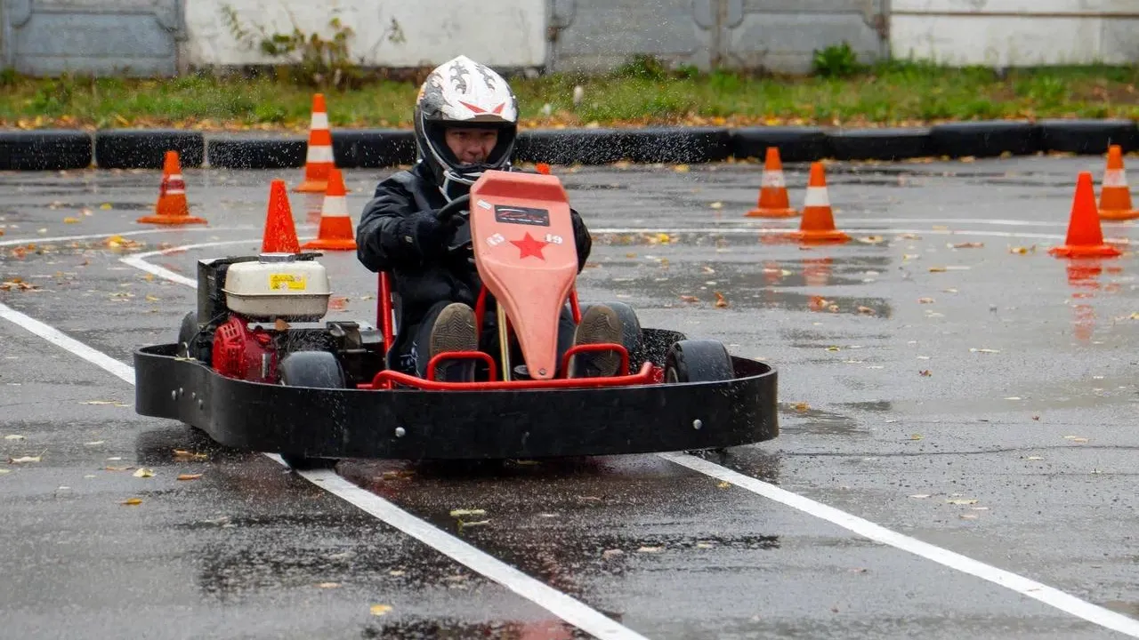 Алена Жамкова