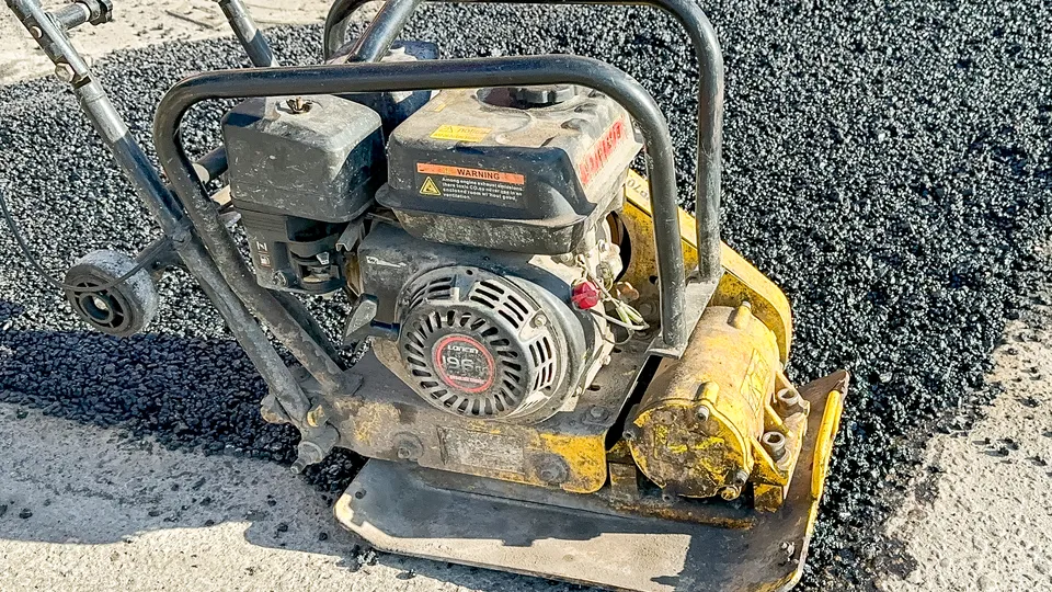 Фото: МедиаБанк Подмосковья/Данила Кирьянов