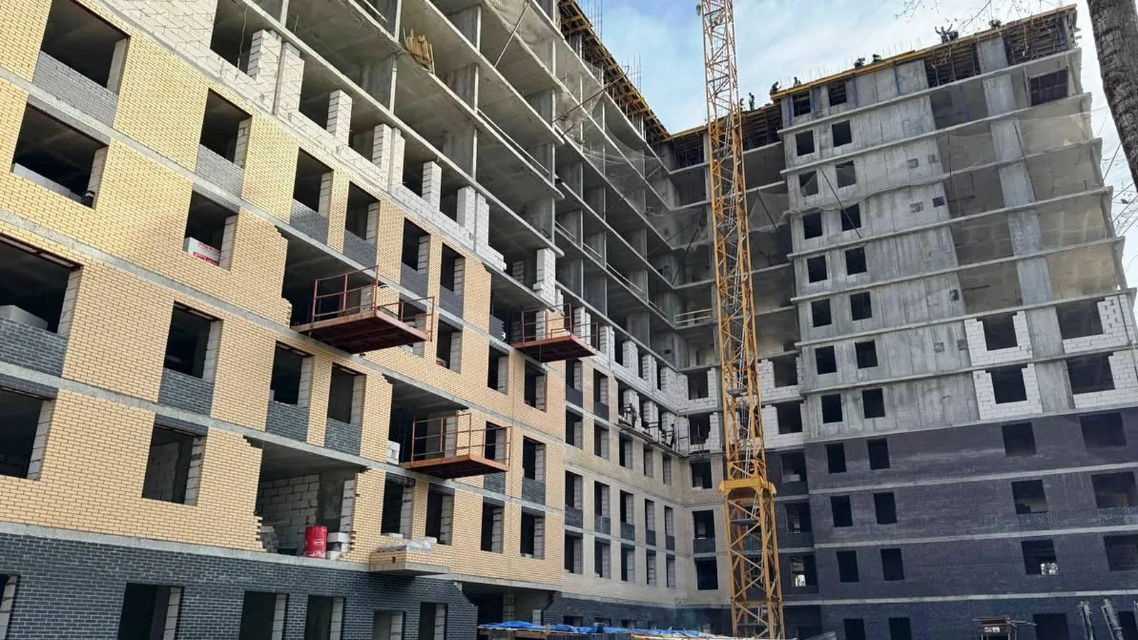 Фото: пресс-служба администрации г.о. Ступино