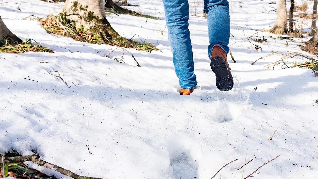 istockphoto.com/Armastas