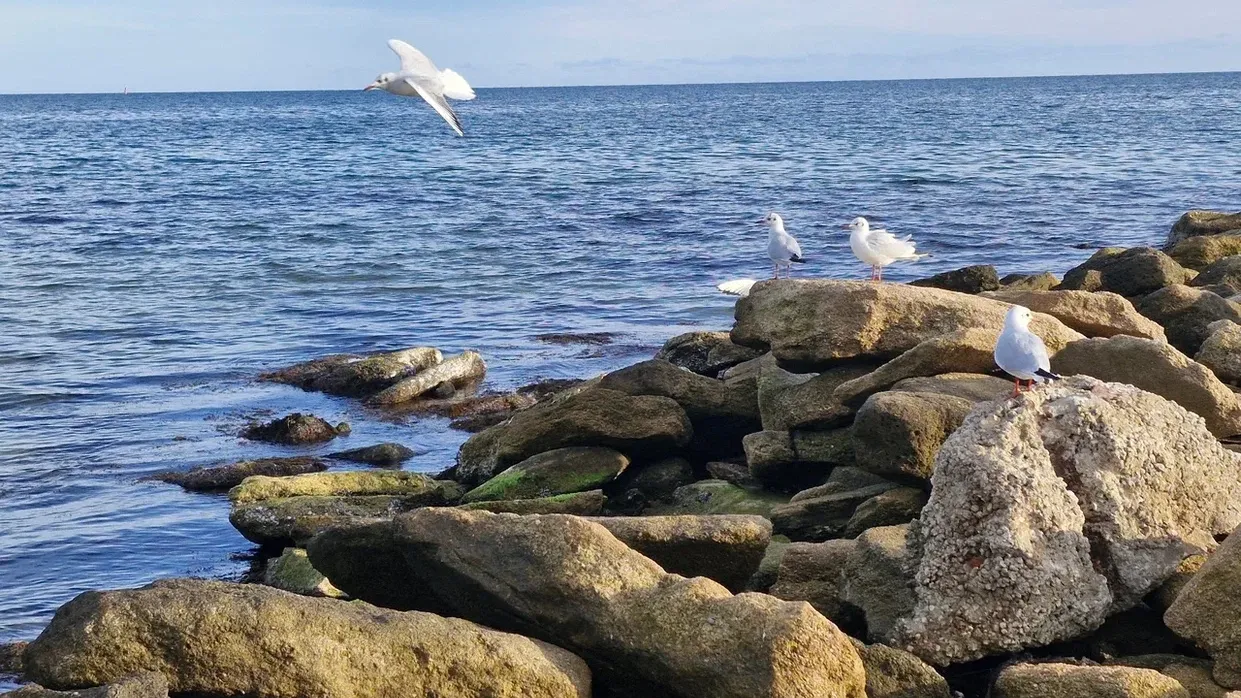 Фото: REGIONS/Наталия Надточая