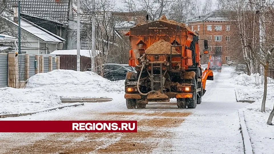 Фото: МедиаБанк Подмосковья/Данила Кирьянов