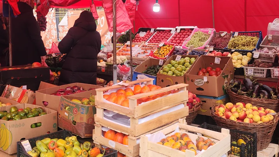 Фото: МедиаБанк Подмосковья/Хавива Фонина