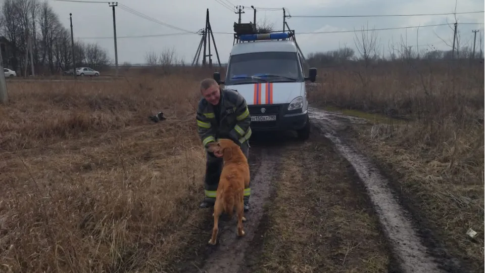 Фото: ГКУ МО «Мособлпожспас»