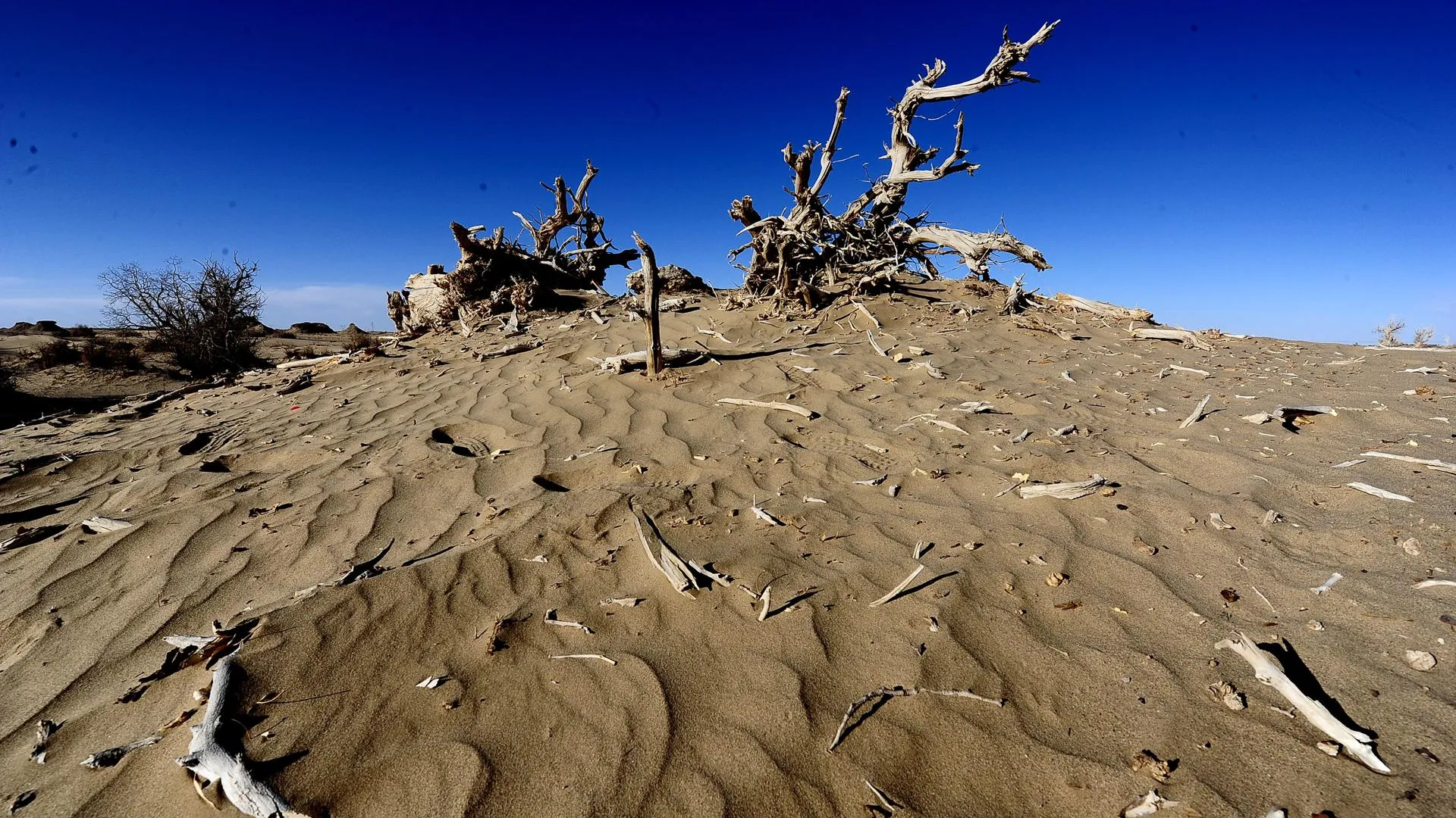 Zhang Hongxiang/ZUMAPRESS.com