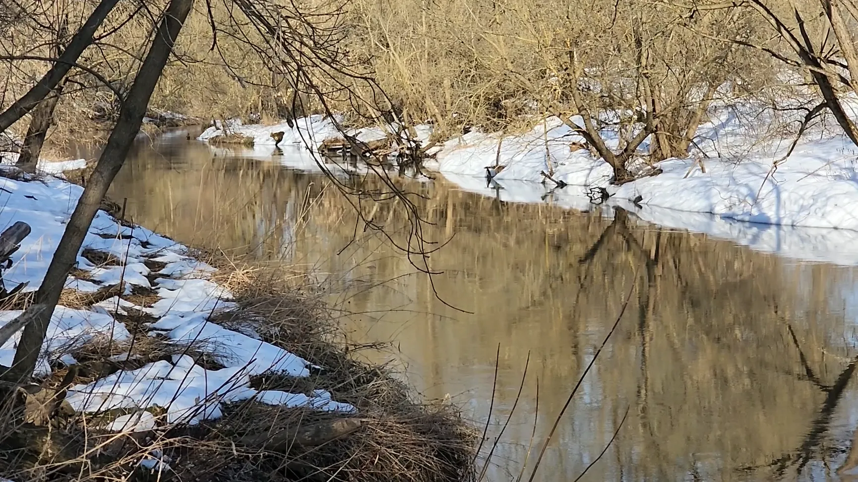 REGIONS/Евгений Рой