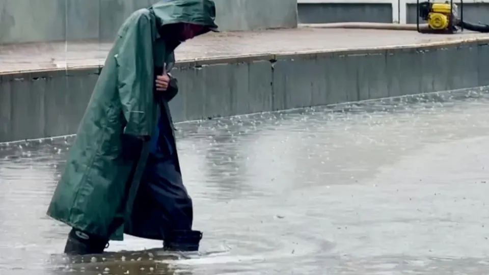 Фото: Ольга Стаферова