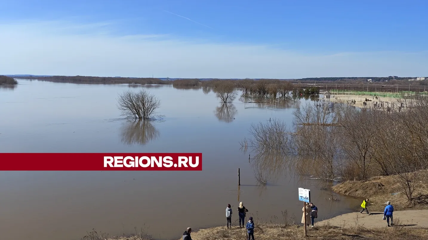 Фото: REGIONS/Алексей Селиверстов