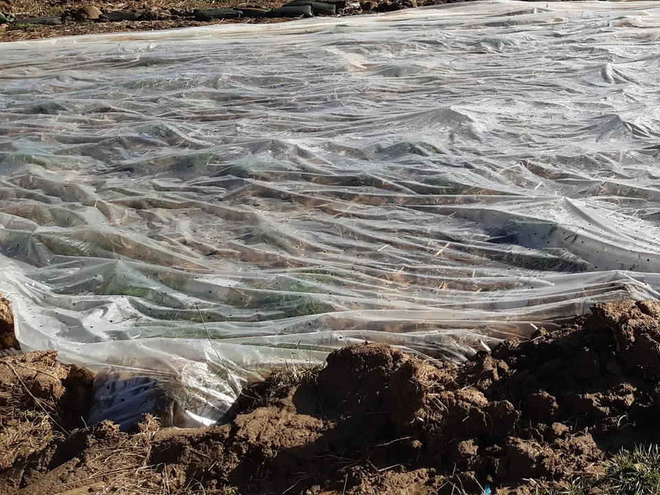 Фото: istockphoto.com