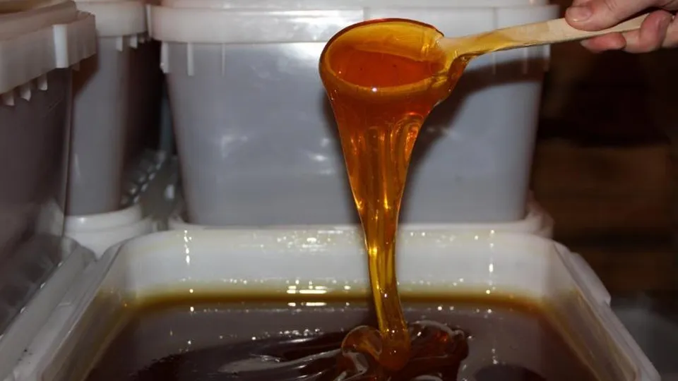 Фото: Минсельхоз Подмосковья